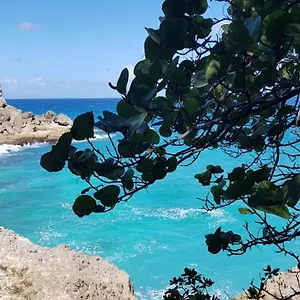 Appartement Cocktail Caraïbes, Résidence De Tourisme Meublée, Saint-Louis